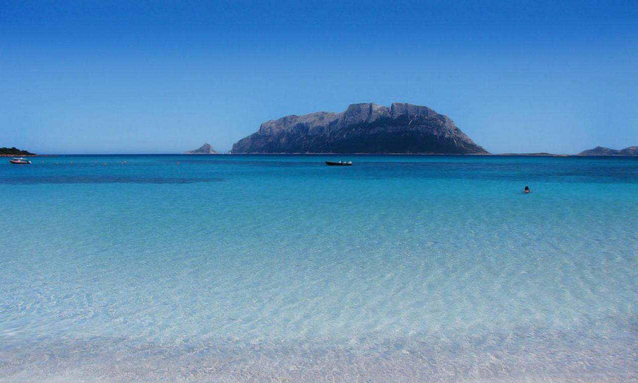 Pittulongu, trilocale vista mare Villa Olbia Esterno foto